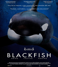 Blackfish