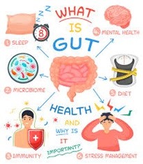 Why is gut health important