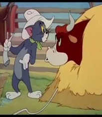 Tom and Jerry Bullfighting Tom and Jerry Movies List